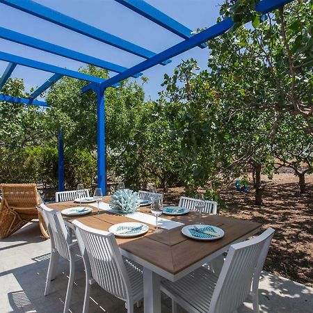 Aneli Luxury Villas-Villa Aegina Kültér fotó