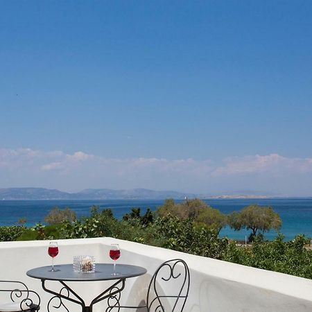 Aneli Luxury Villas-Villa Aegina Kültér fotó