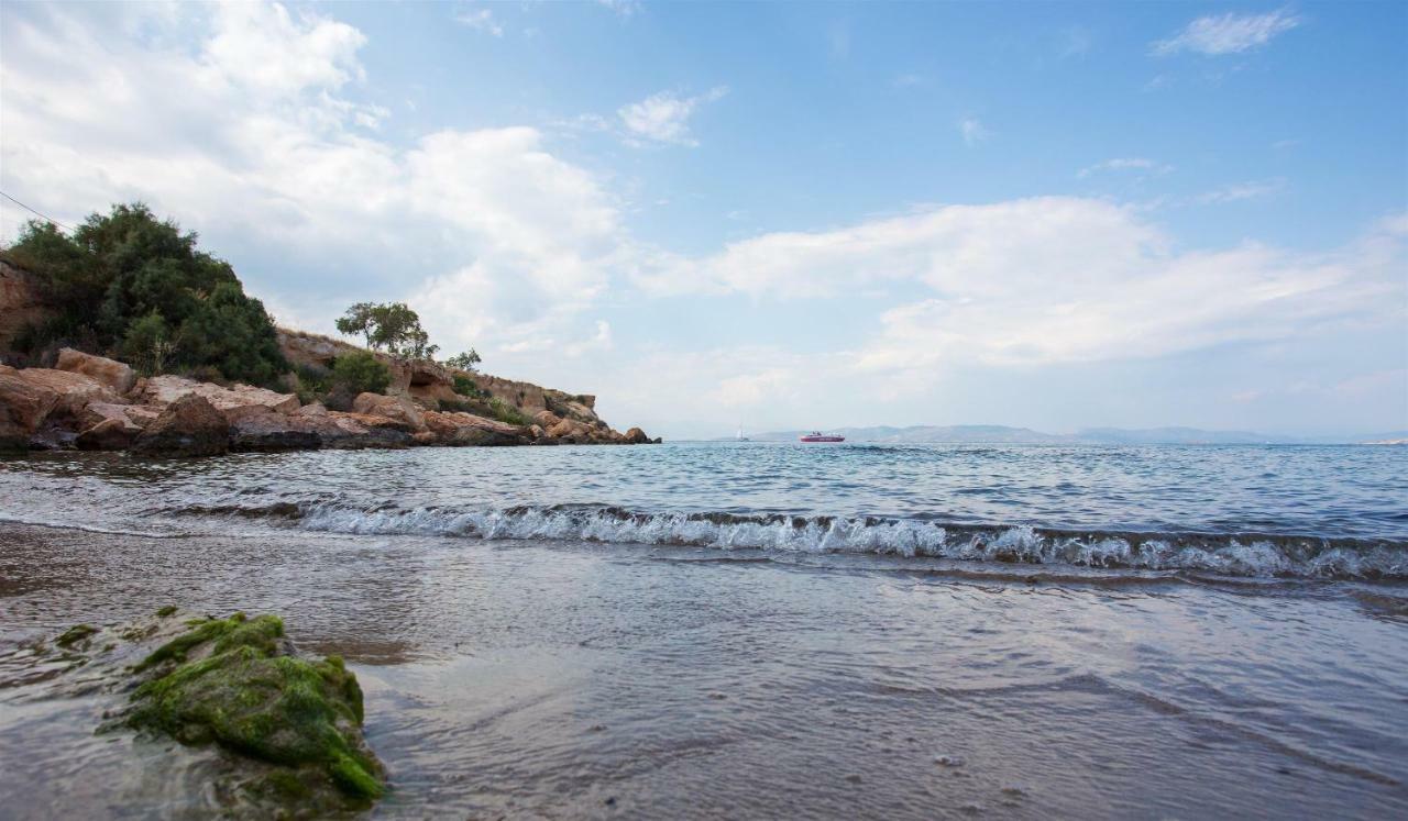 Aneli Luxury Villas-Villa Aegina Kültér fotó